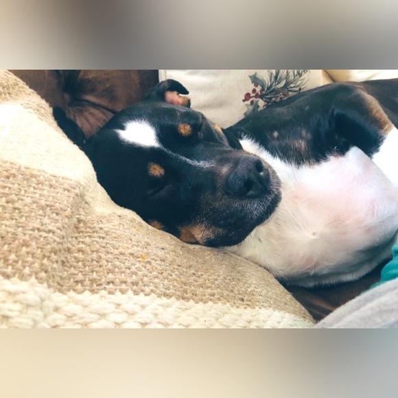 Meet your Posher, Tammy (a.k.a. spicy Tamarita!) - Picture 9 of 16